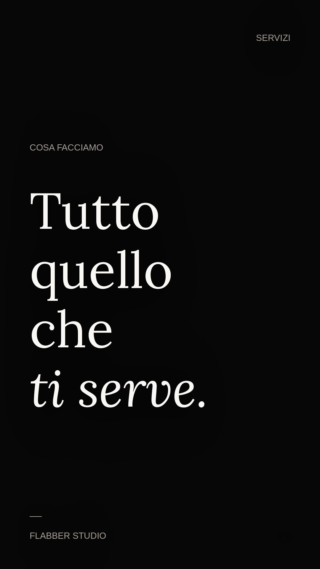 Tutto quello che ti serve - panoramica dei servizi Flabber Studio